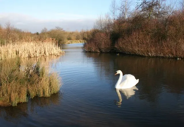 Sandwell Valley Country Park, the local landmark of B71
