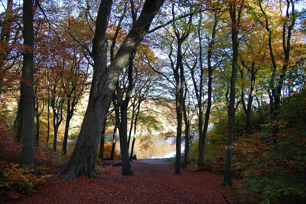 Chellow Dene, the local landmark of BD15