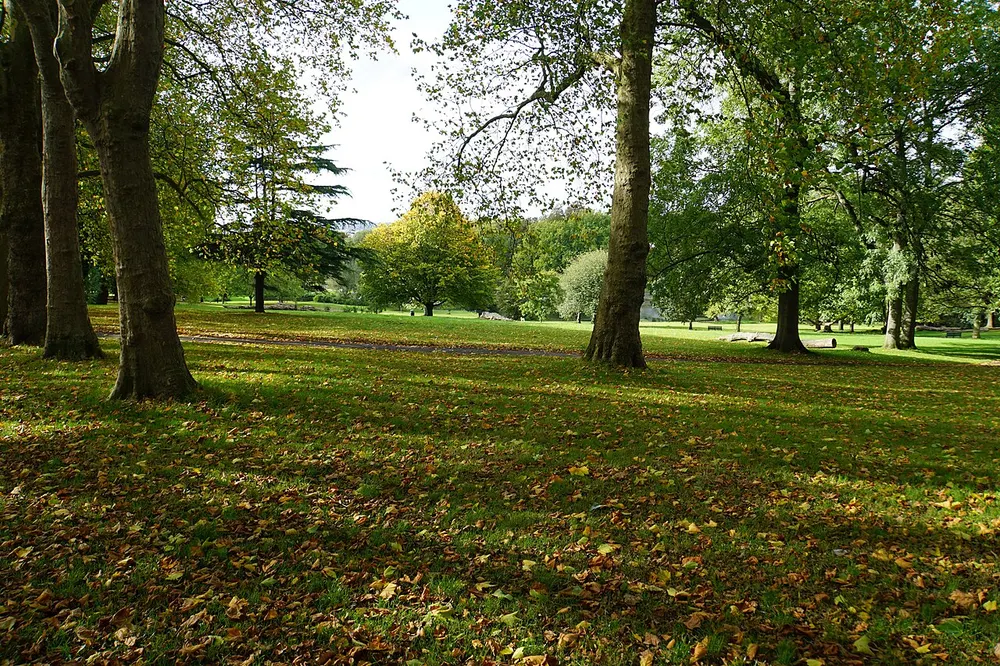 St George Park, Bristol, the local landmark of BS5