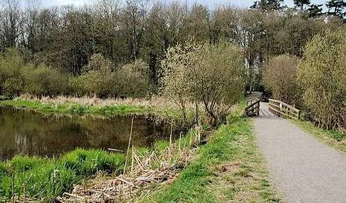 Hillsborough Forest, the local landmark of BT26