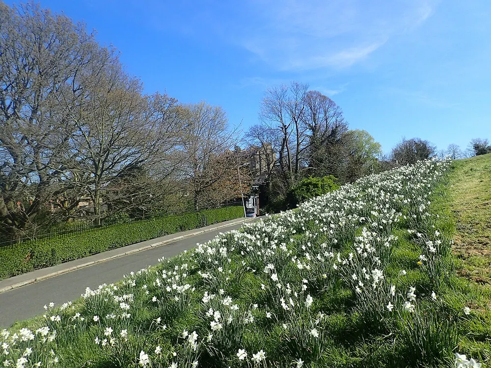 Windmill Hill, Kent, the local landmark of DA12