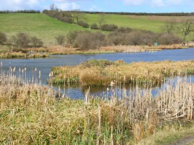 Cassop Vale, the local landmark of DH6