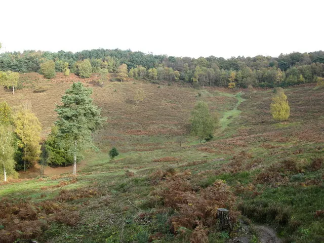 Devil's Punch Bowl, the local landmark of GU26