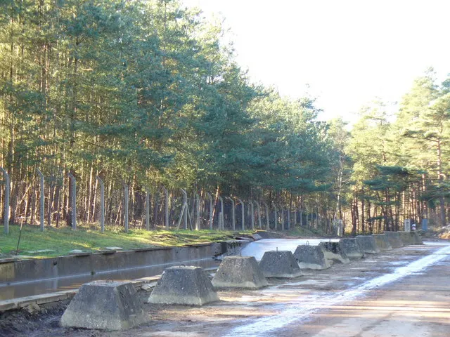 Hogmoor Inclosure, the local landmark of GU35
