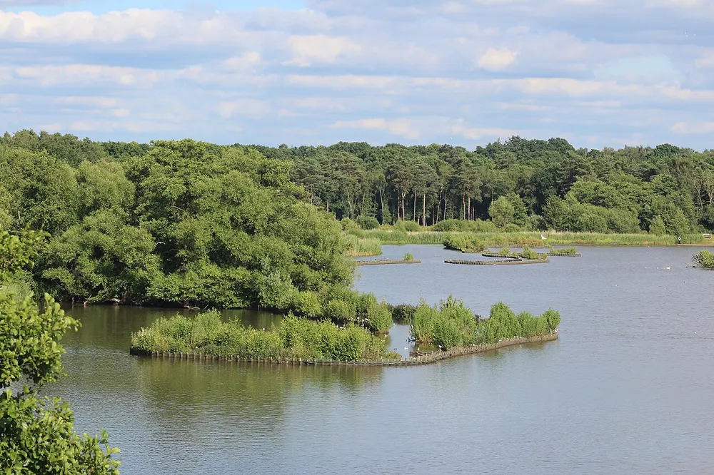 Fleet Pond, the local landmark of GU51