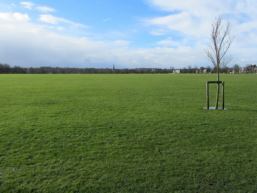 The Stray (Harrogate), the local landmark of HG2