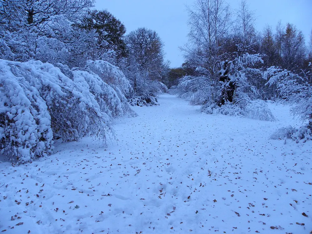 Ashtead Common, the local landmark of KT21