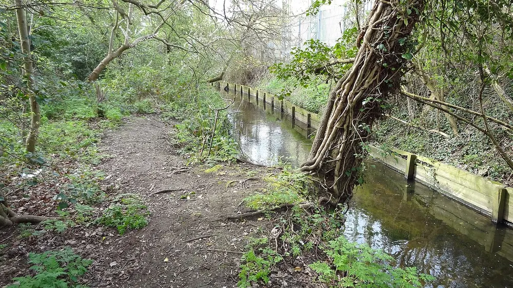 Sir Joseph Hood Memorial Wood, the local landmark of KT4