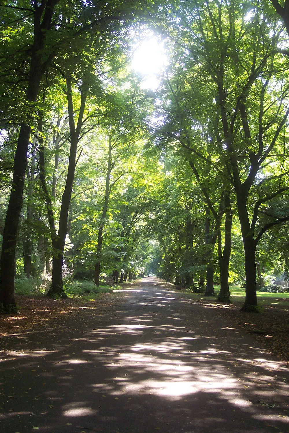 Alexandra Park, Manchester, the local landmark of M16