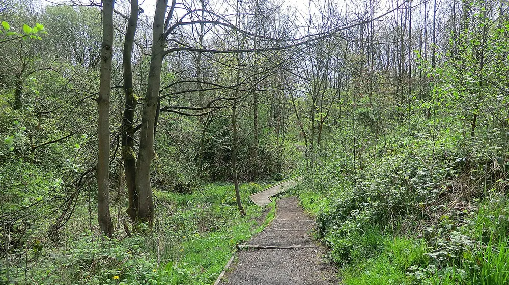 Broadhurst Park (public park), the local landmark of M40