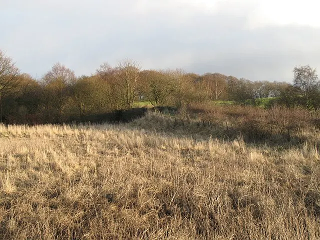 Drumpellier Country Park, the local landmark of ML5