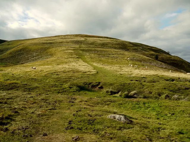 Humbleton Hill, the local landmark of NE71