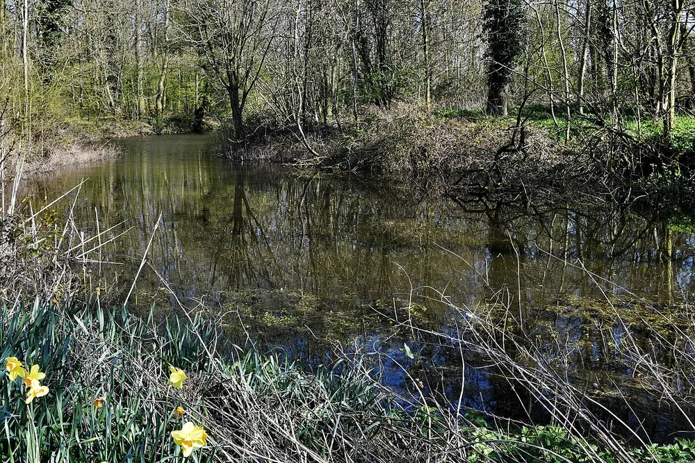 Fritton Common, Morningthorpe, the local landmark of NR15