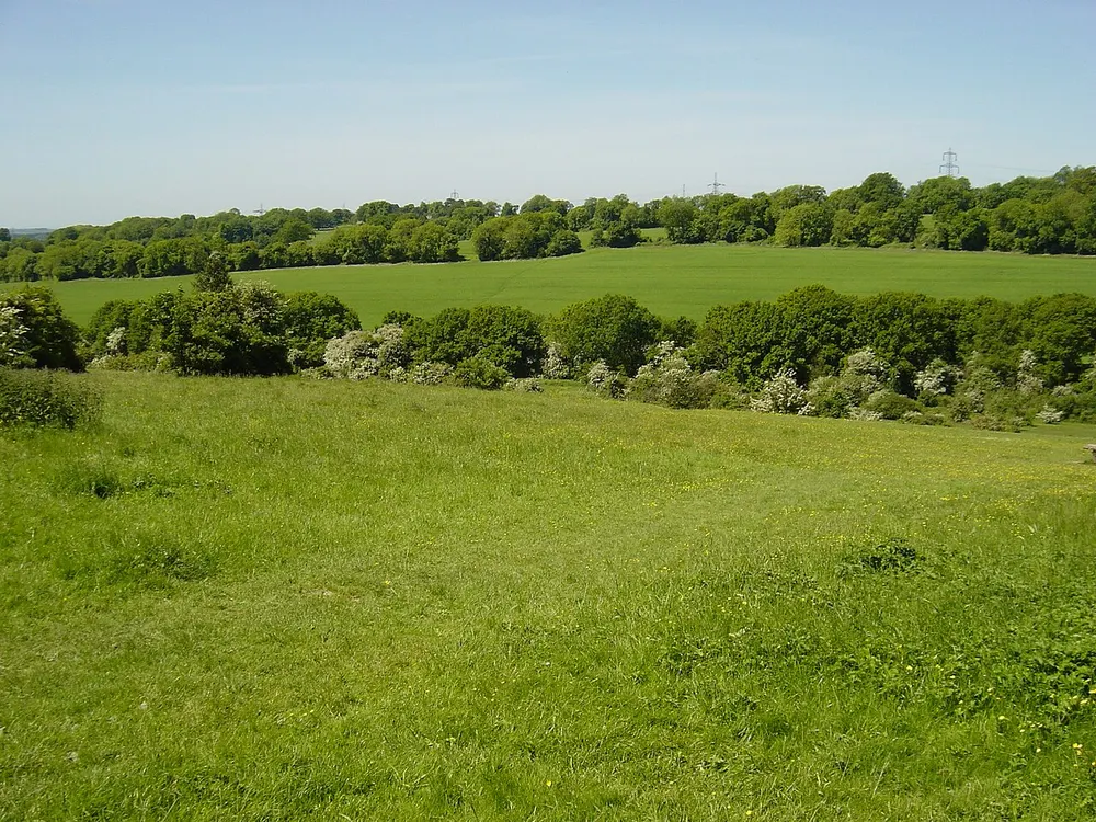 Catherington Down, the local landmark of PO8