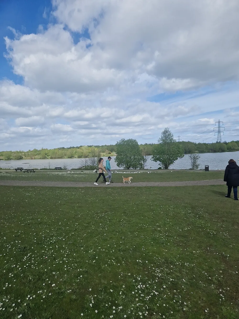 Poolsbrook Country Park, the local landmark of S43
